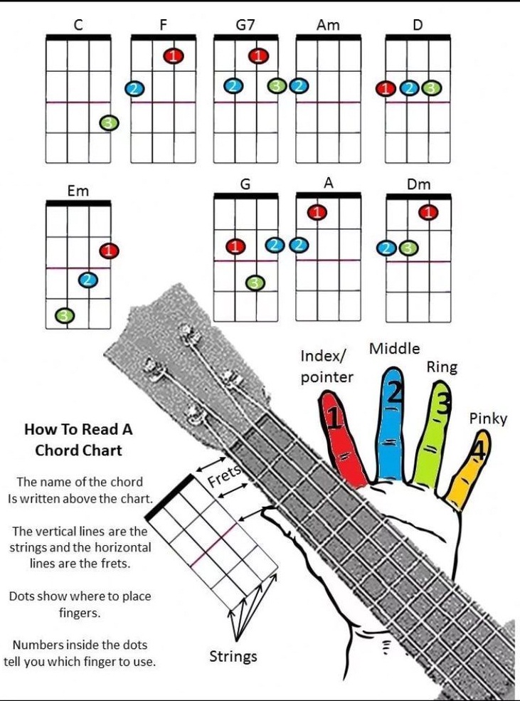 How to Learn Guitar Chords