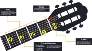 guitar notes for beginners
