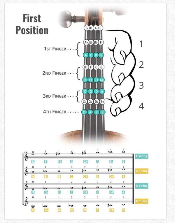 Violin First Position - A Complete Guide For Beginners - Achyutaya