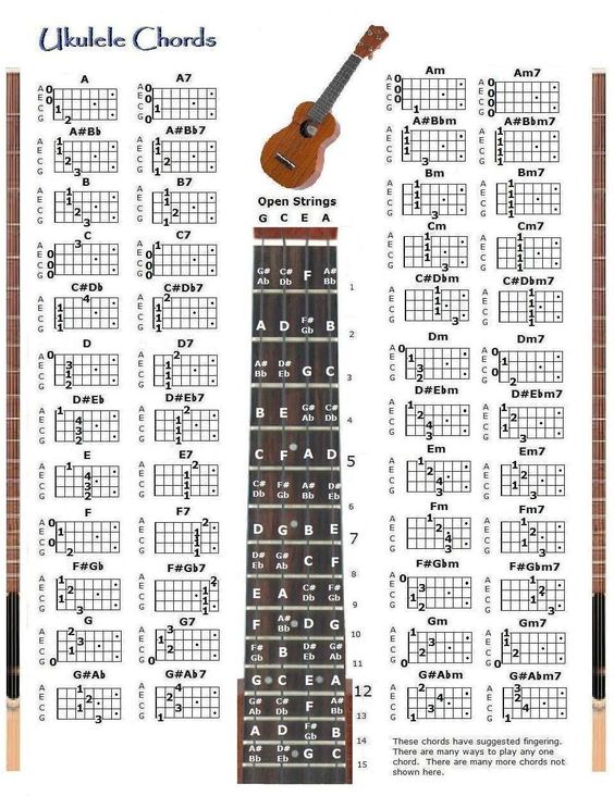 10 Must-Know Ukulele Chords for Beginners