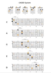 Mastering the Foundations: A Beginner's Guide to Basic Open Chords(e.g., C, G, D, E, A)