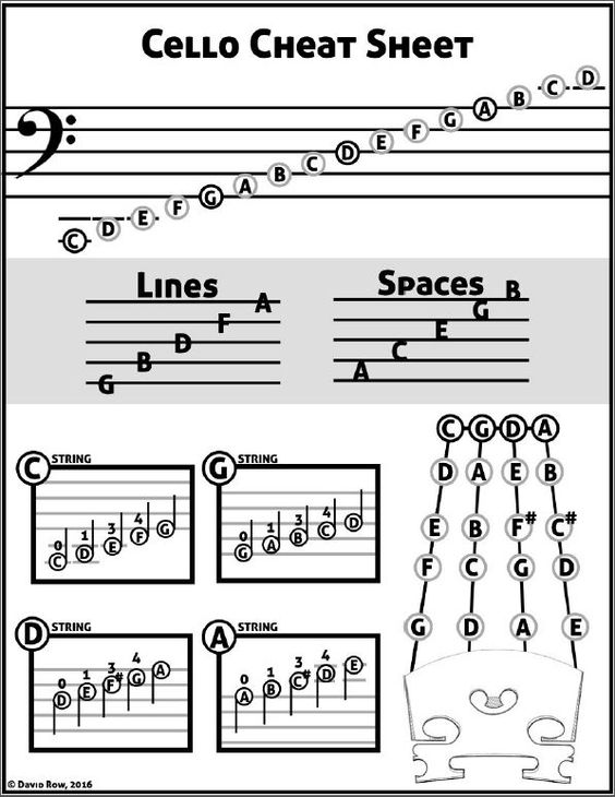 Mastering the Basics: Essential Cello Techniques for Beginners