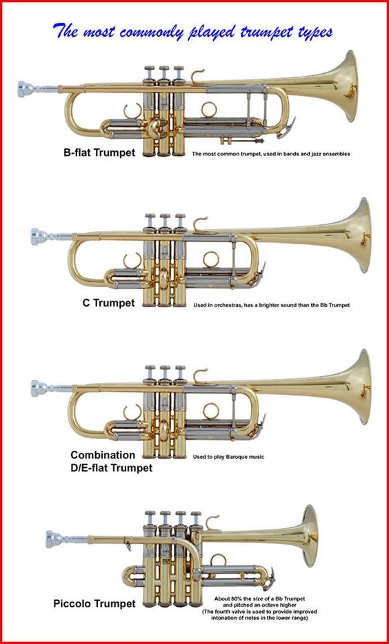 Trumpet 101: A Beginner's Guide to Mastering the Brass