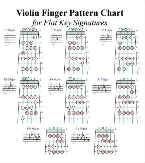 Can I Learn Violin in One Year? A Step-by-Step Lesson Guide