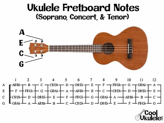 10 Must-Know Ukulele Chords for Beginners