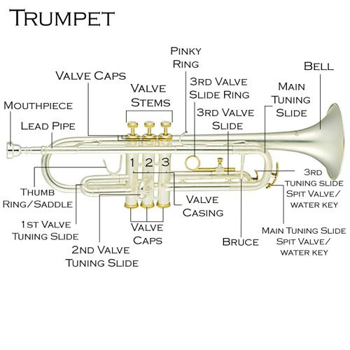 Step-by-Step Trumpet Lesson Plan