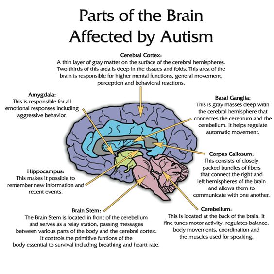 How Music Therapy Enhances Communication and Social Skills in Autism Spectrum Disorder (ASD) Treatment