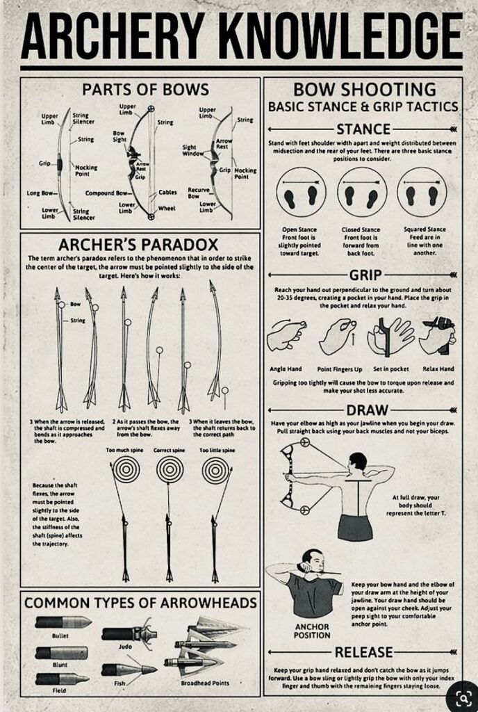 Master the Bow: A Beginner’s Guide to Archery 3 Master the Bow: A Beginner’s Guide to Archery