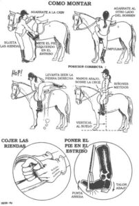 Ride Like a Pro: Essential Horse Riding Tips for All Levels