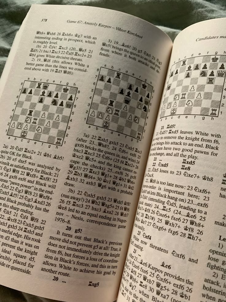 the rule of chess