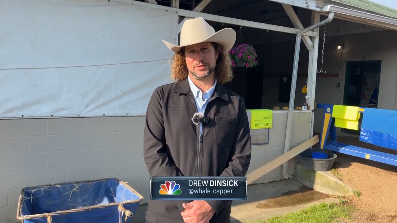 kentucky derby 2025 horses