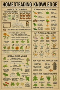 home gardening